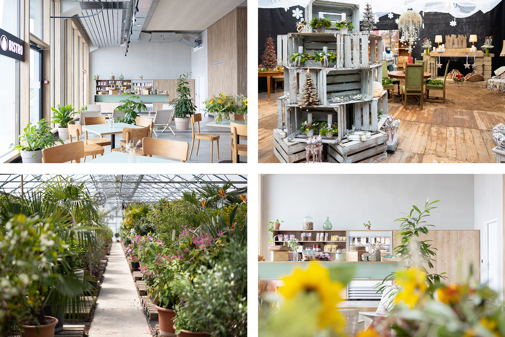 Vier Fotos von verschiedenen Räumen.